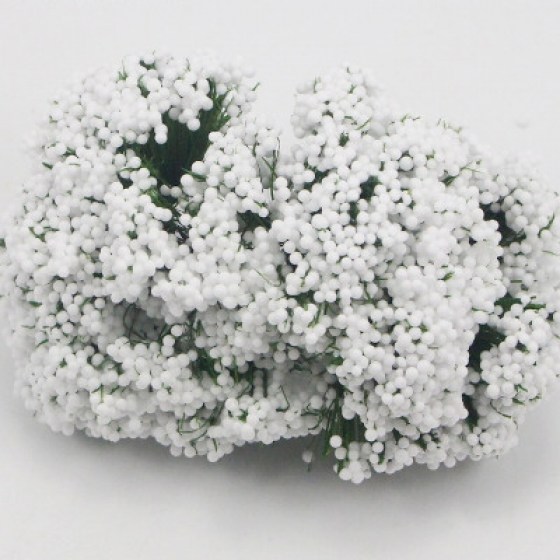 Gipsofila bijela