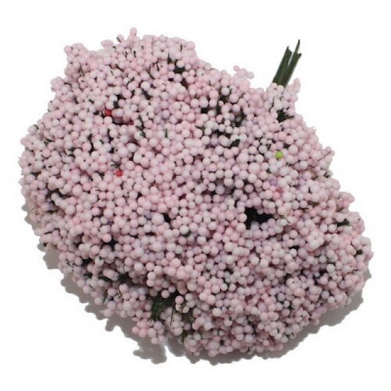 Gipsofila roza